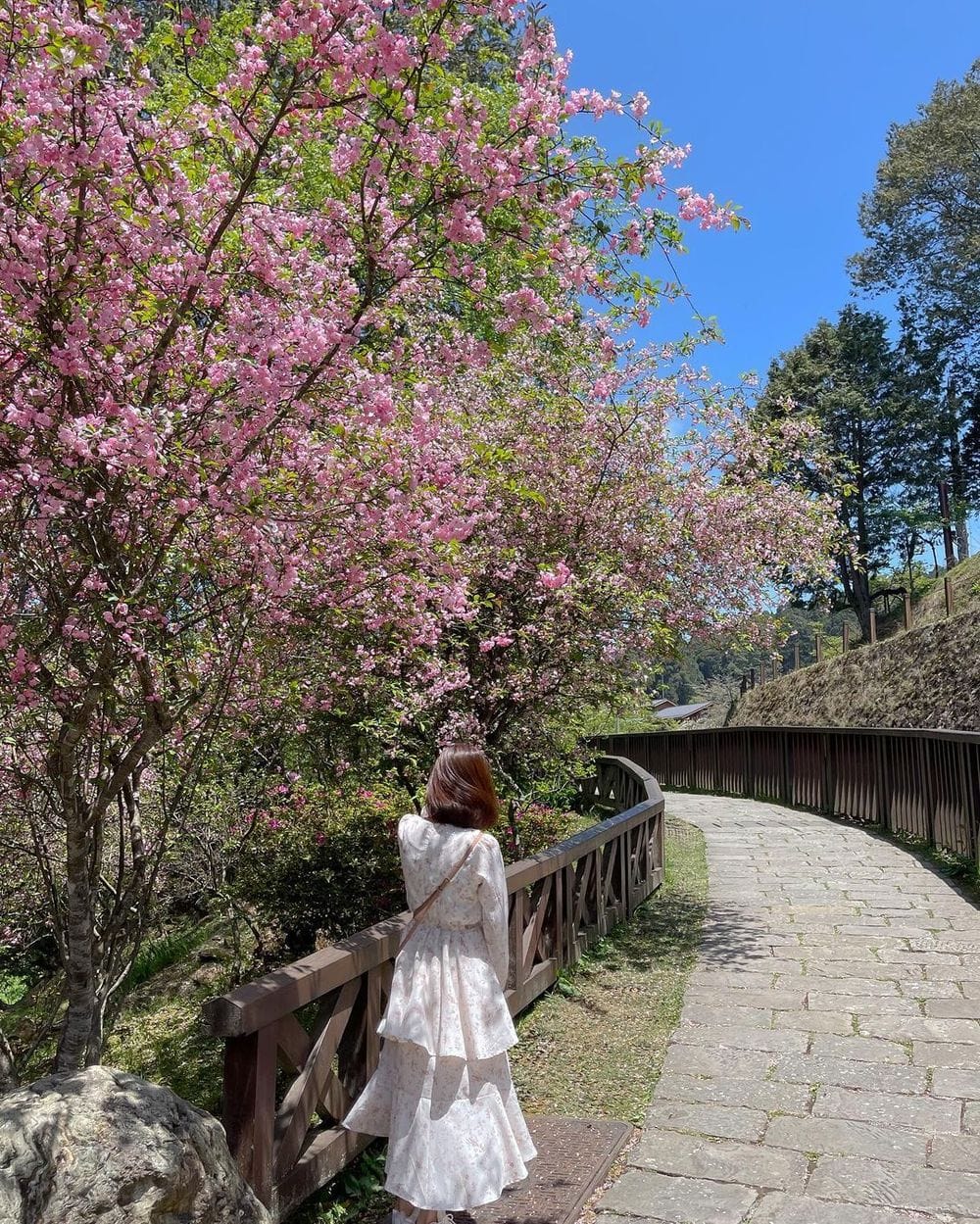 阿里山沼平車站
