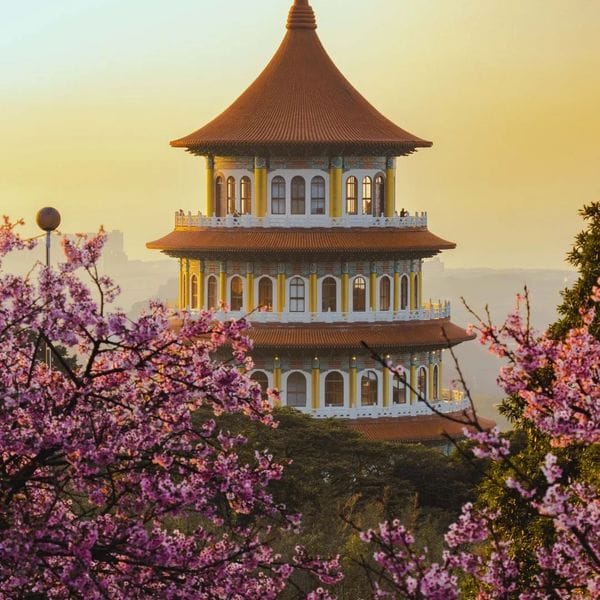 櫻花季,賞櫻,櫻花,台灣櫻花,台灣賞櫻景點,賞櫻景點,淡水天元宮,天元宮櫻花,北部賞櫻,新北櫻花,新北旅遊,淡水賞櫻